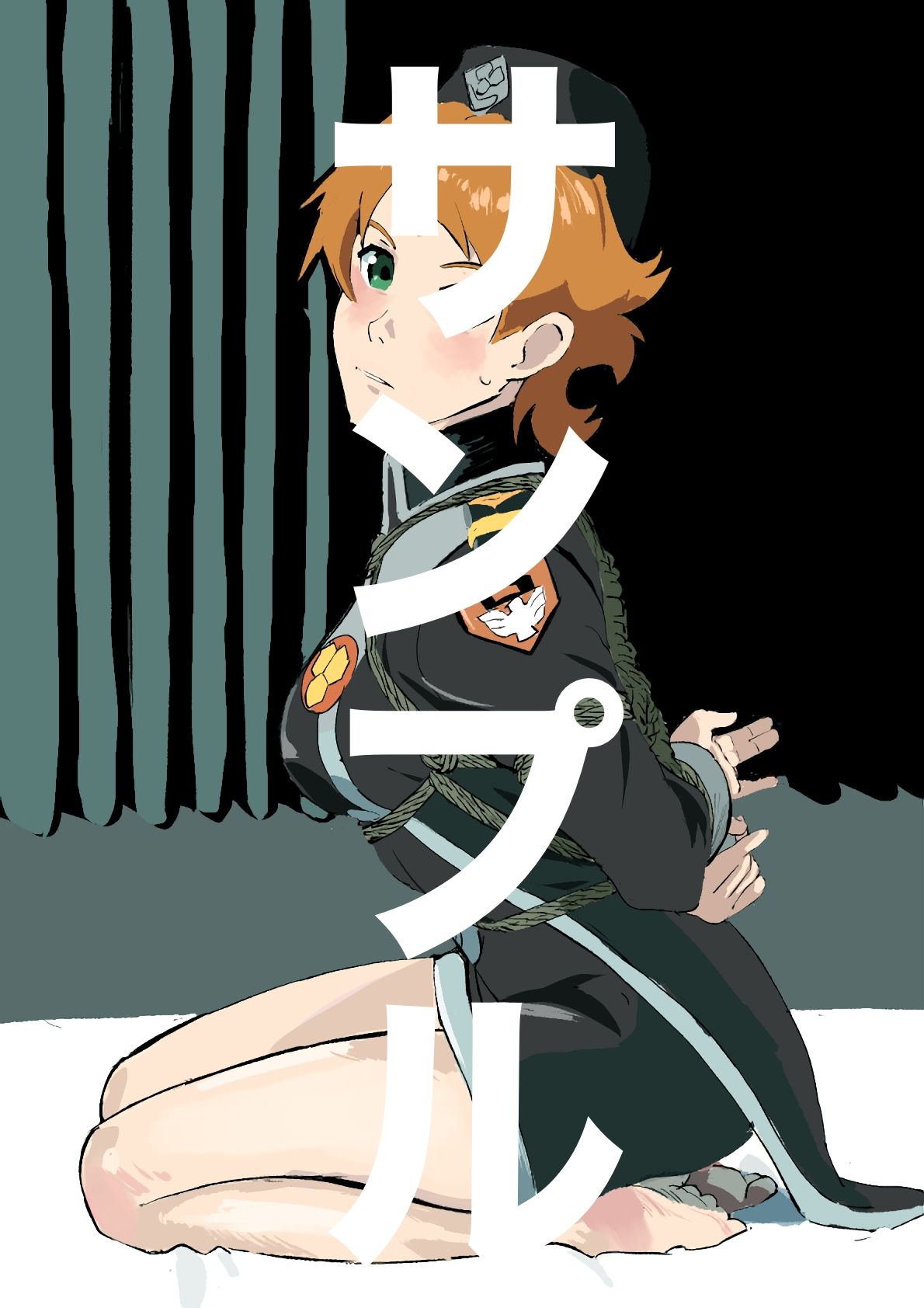 マクロスフロンティア ヒロイン SM緊縛画集