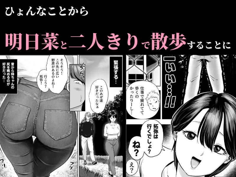 片思いの従姉のケツにチンポブチこんだった