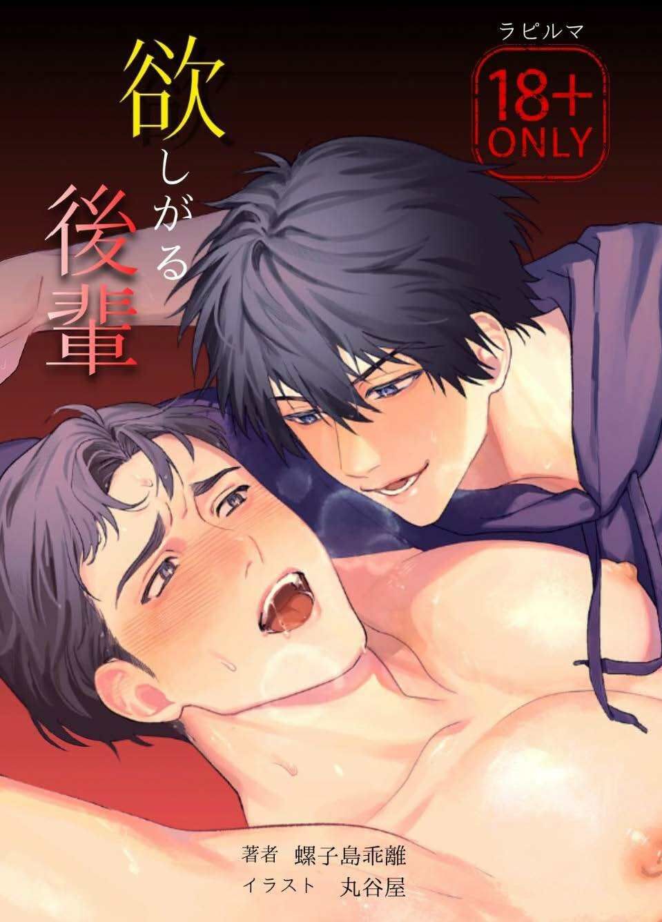 小説版『欲しがる後輩』_著・螺子島乖離