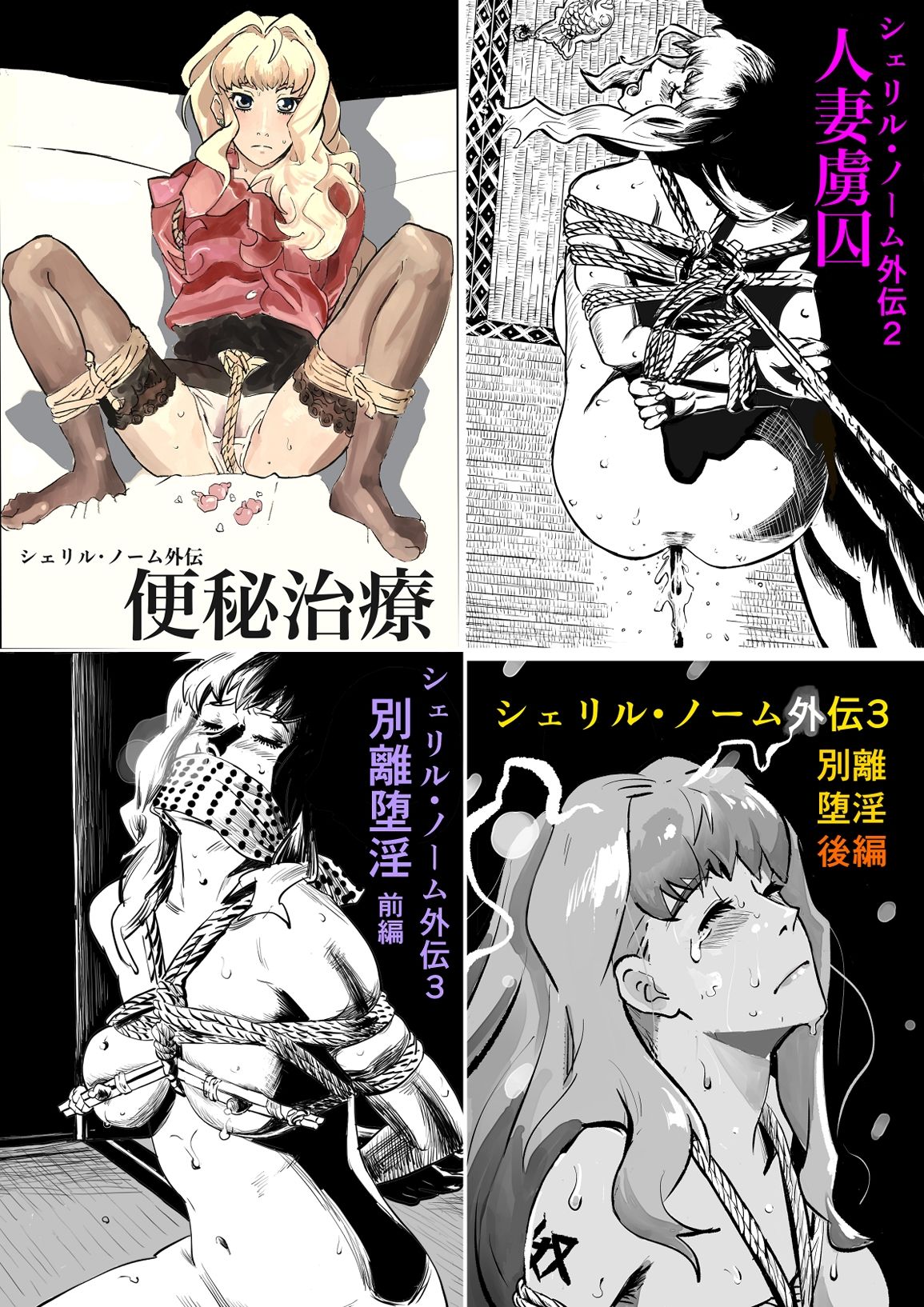シェリル・ノーム 成人男性向け 短編漫画集＋短編小説集