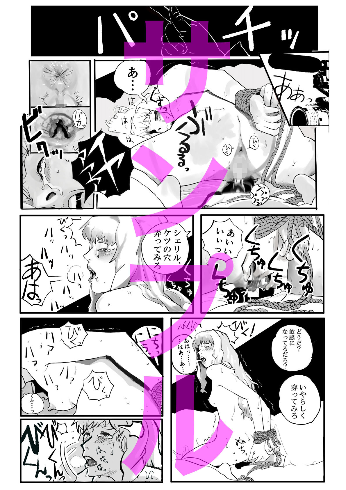 シェリル・ノーム 成人男性向け 短編漫画集＋短編小説集