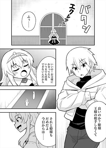 姫と護衛は冒険者1