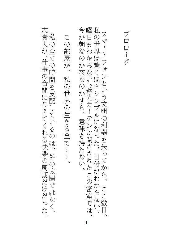 ハイスペ義兄の密室絶頂管理。クリトリス玩具を挿し込まれたままの私は、自宅突撃してきた後輩君とドア一枚隔てて声を殺してイかされる。