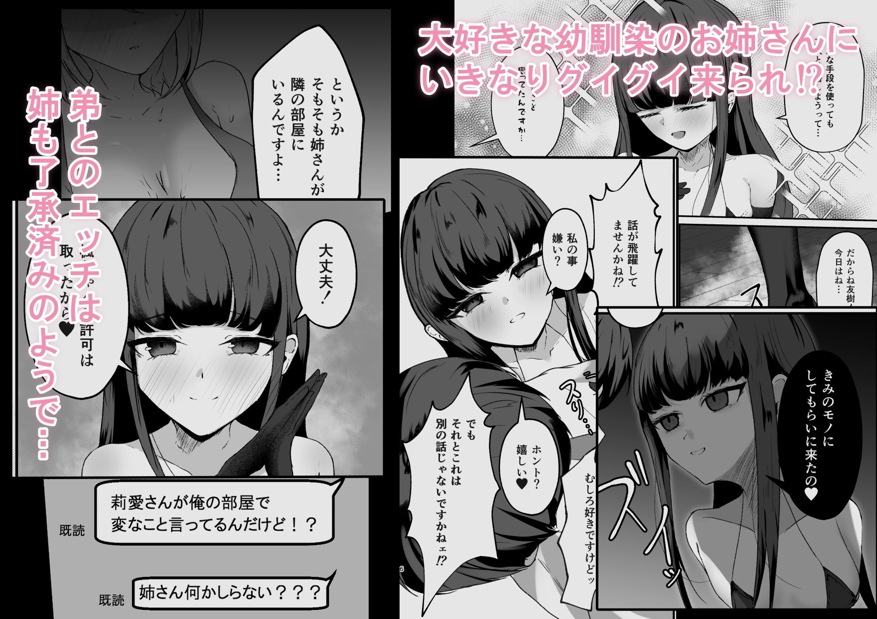 姉さんの親友はインモラルな恋愛を望んでいる