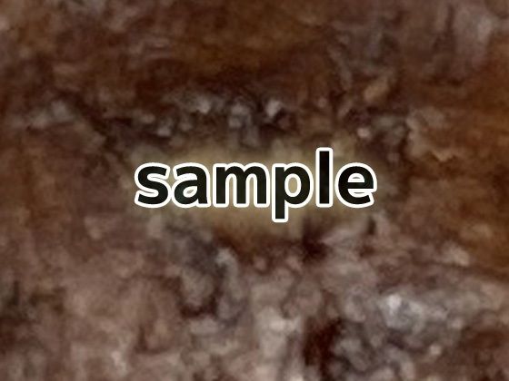 化石のテクスチャ/シームレス画像素材〜商用成人利用OKの著作権フリー
