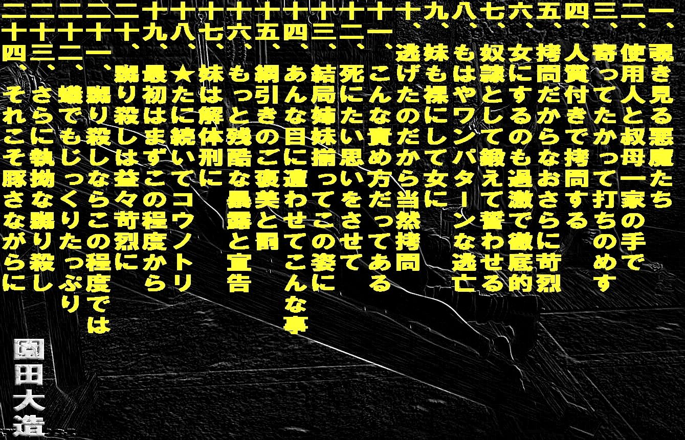 美令嬢姉妹、煉獄に堕つ