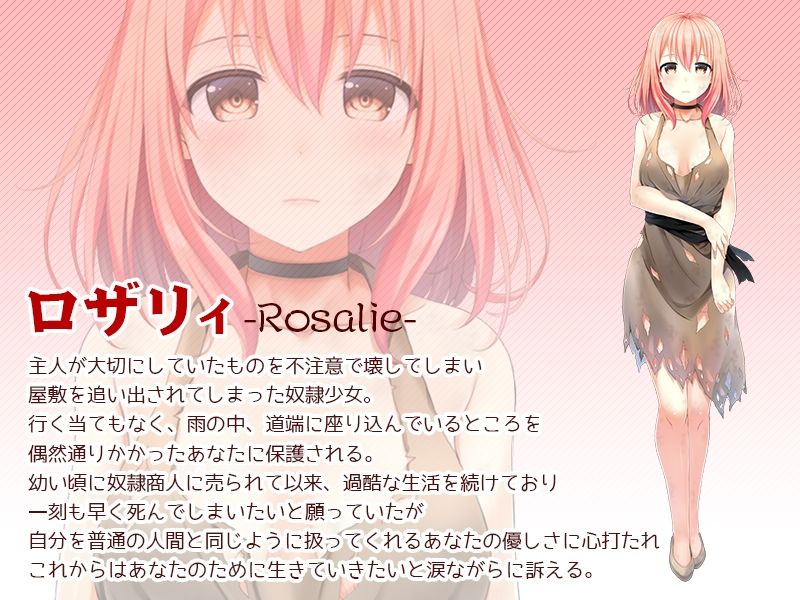 奴●少女ロザリィ総集編 ―捨てられた奴●少女が貴方と幸せになるまでの物語―