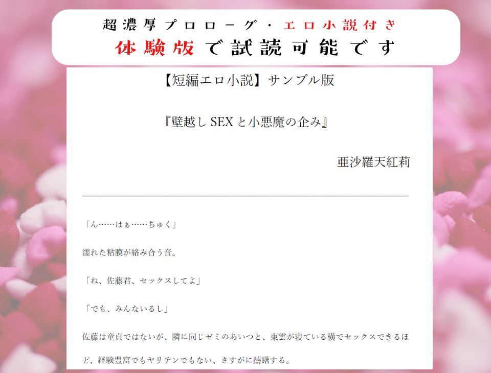 【壁越し/処女喪失/超濃厚エロ小説付き】「僕をオナホにしていいよ」 好きな子の交尾を聴きながら小悪魔僕っ娘を抱いたら、実は処女で、最後は本気なかだしセックス