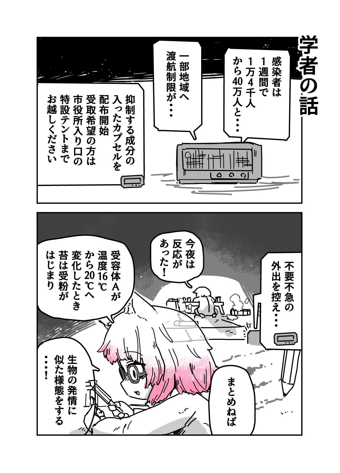 猫線地区の日常
