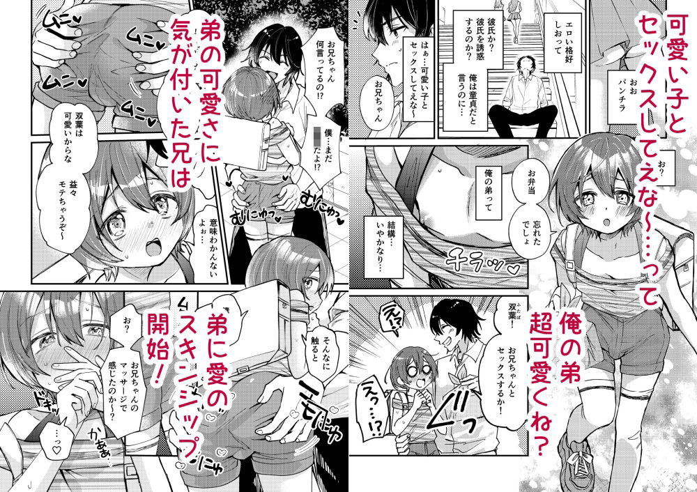 弟が可愛いのでセックスしてみた
