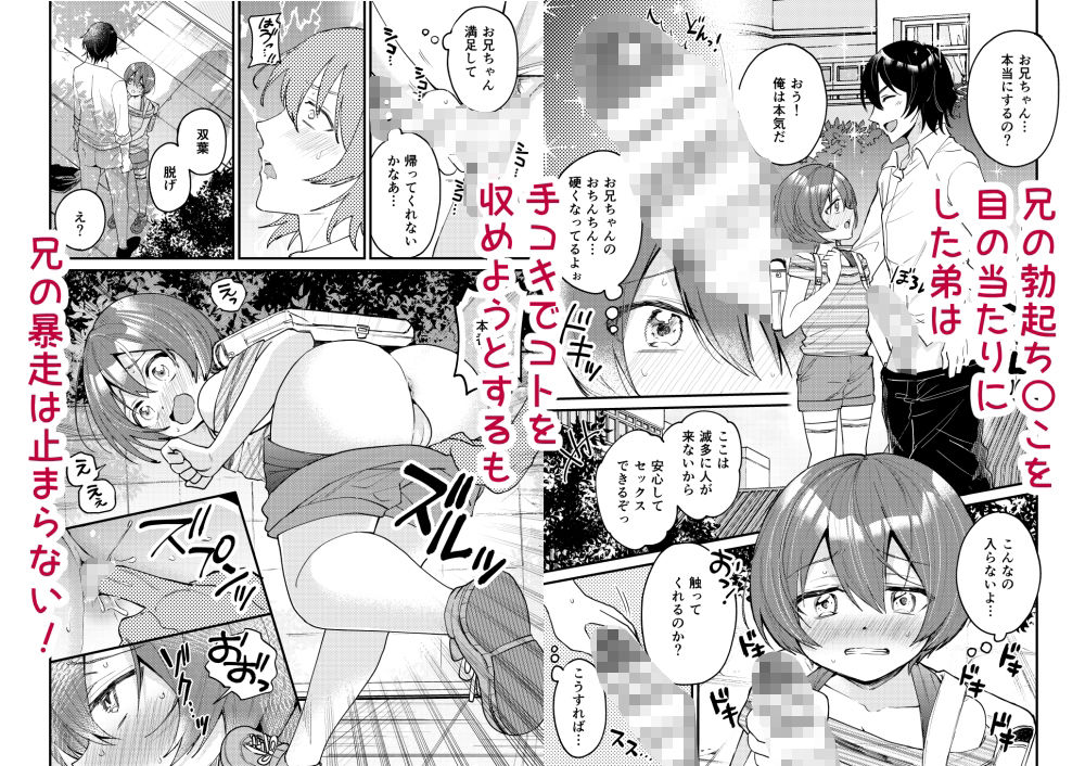 弟が可愛いのでセックスしてみた