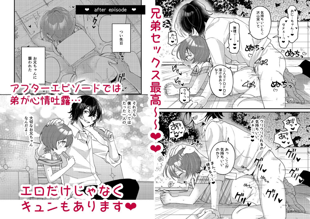 弟が可愛いのでセックスしてみた