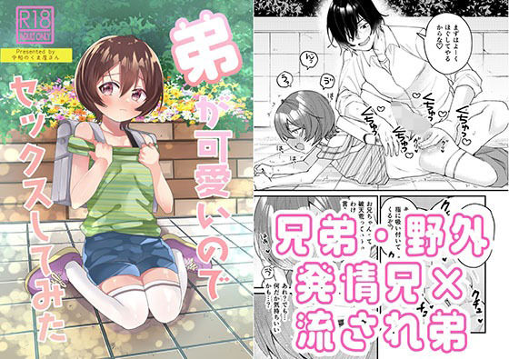 弟が可愛いのでセックスしてみた