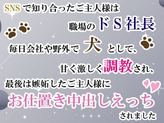 SNSで知り合ったご主人様は職場のドS社長。毎日会社や野外で犬として甘く激しく調教され、最後は嫉妬したご主人様にお仕置き中出しえっちされました
