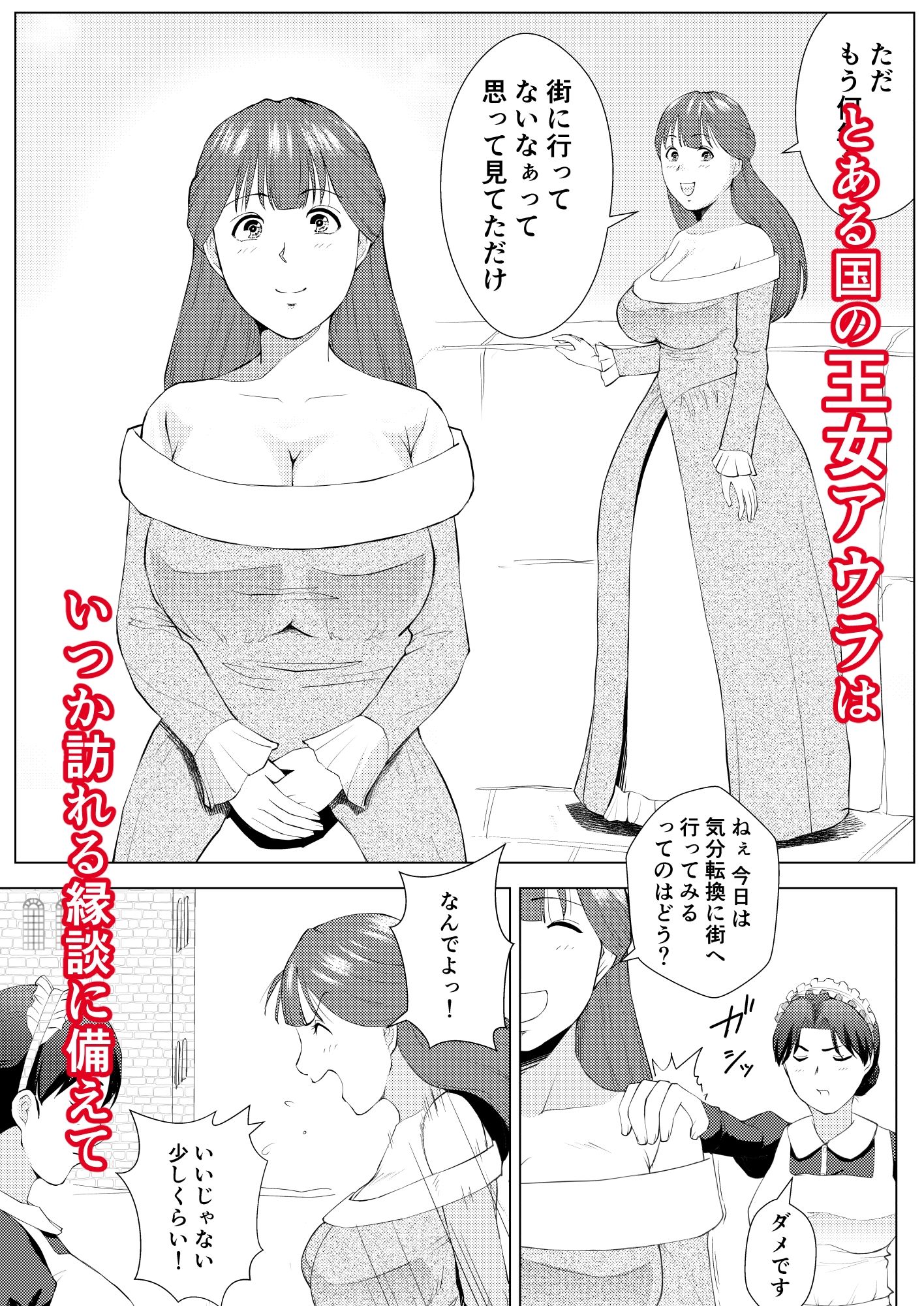 無知な王女のお仕事体験 娼館で初めての性交