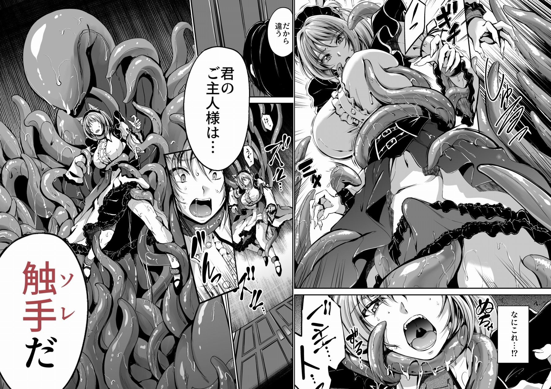 触手のご主人様