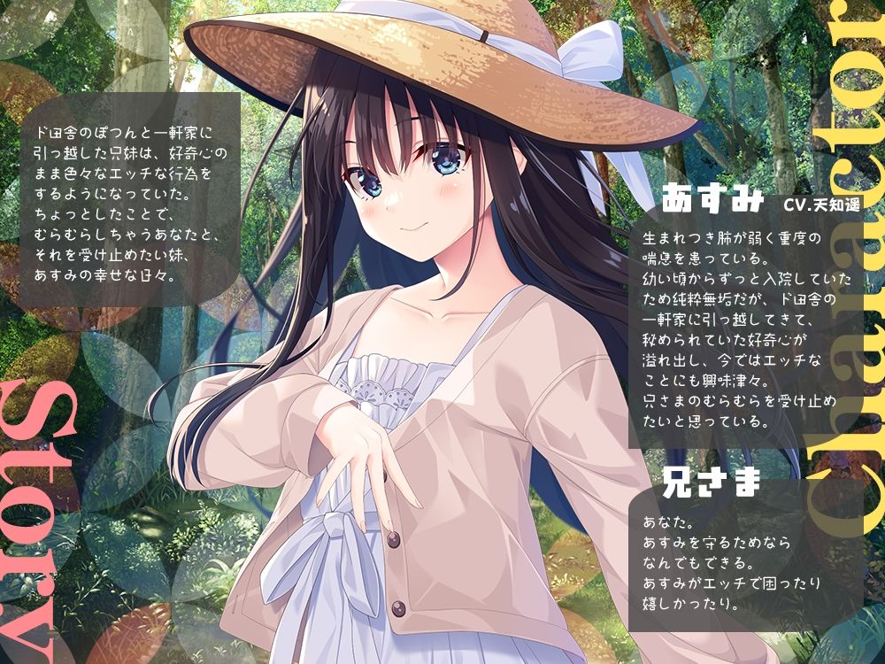 兄さまのむらむらした気持ちを全部受け止めたい妹