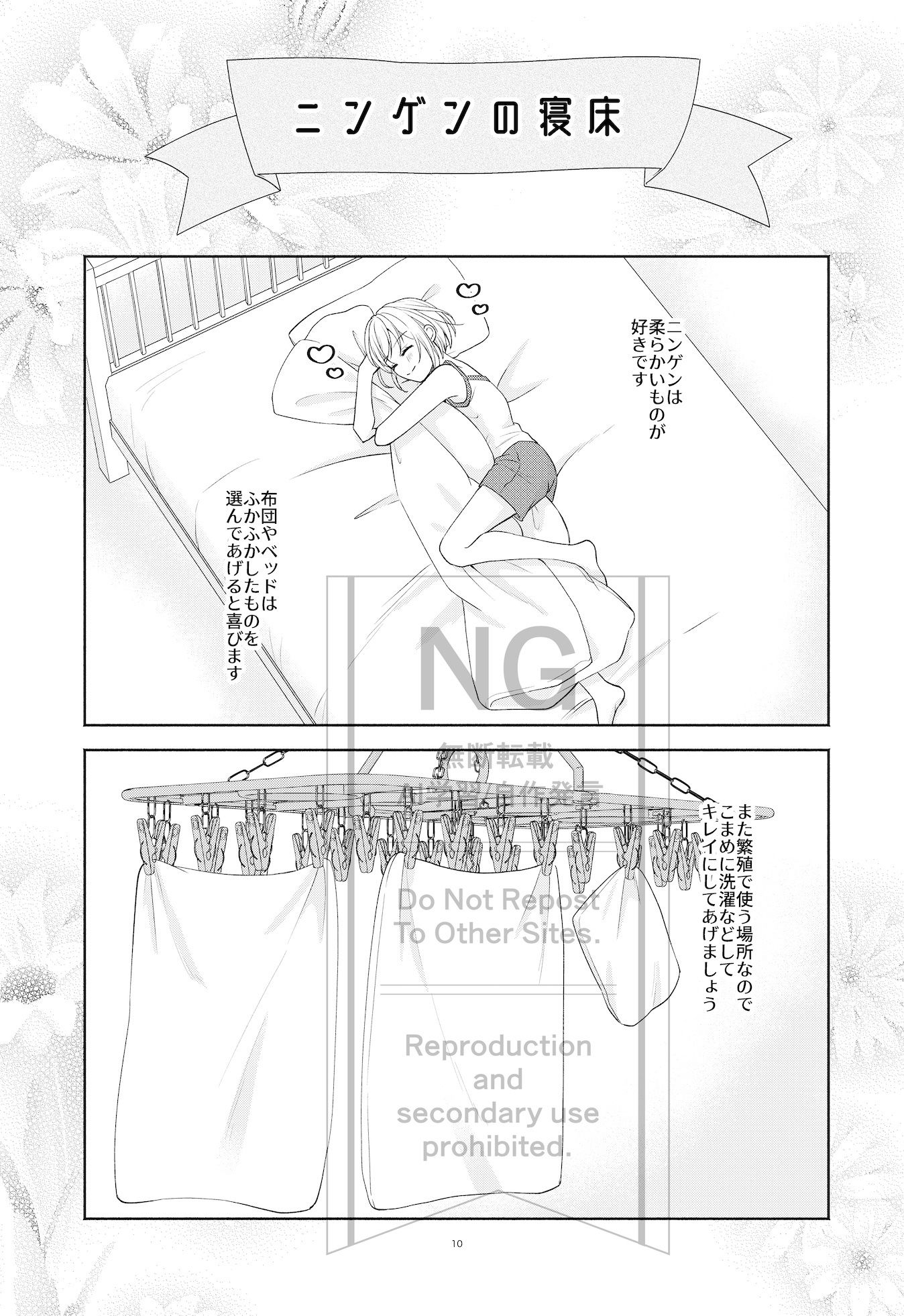 ニンゲン飼育日記