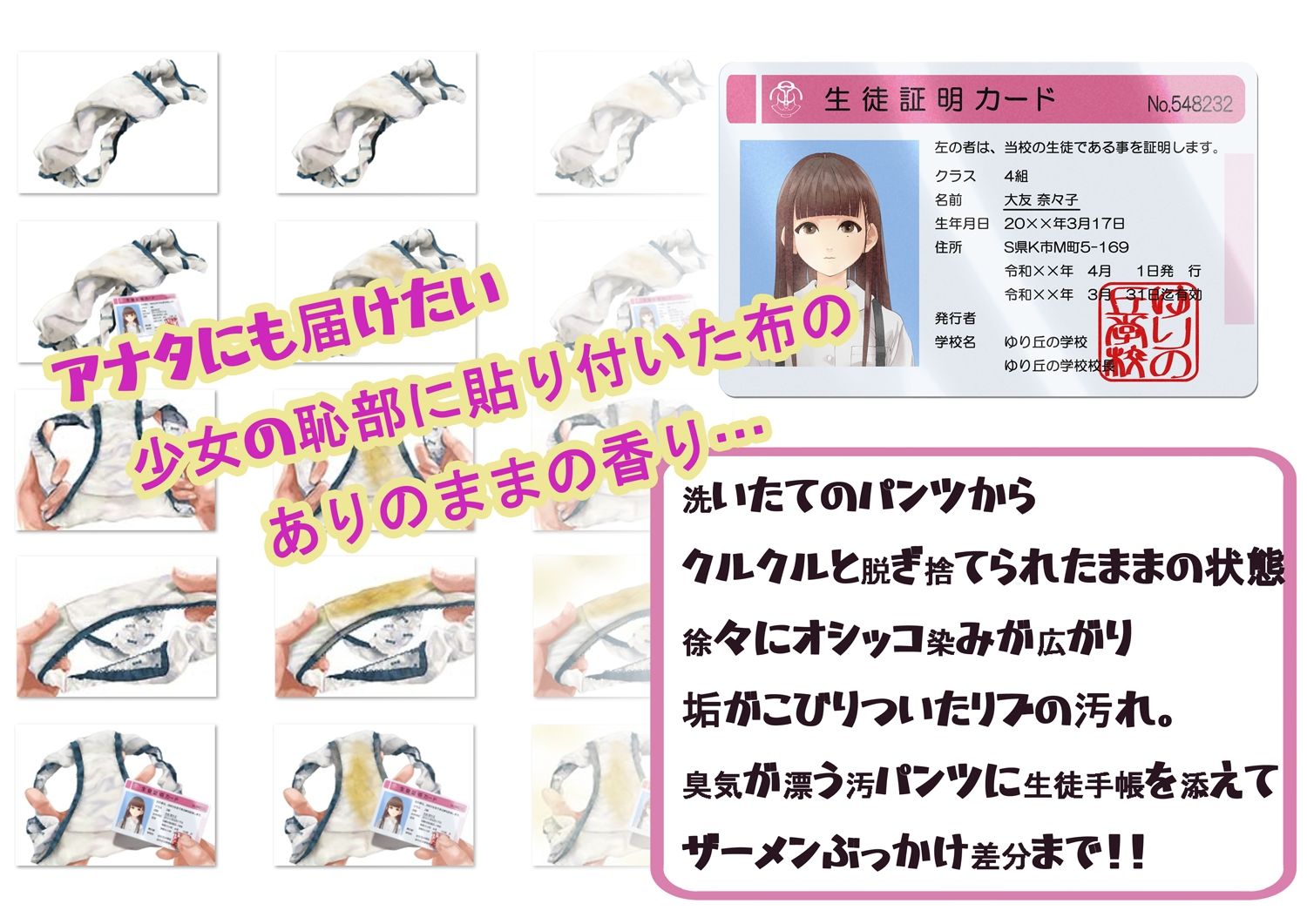 しゅくだいぱんつ「ななこ」