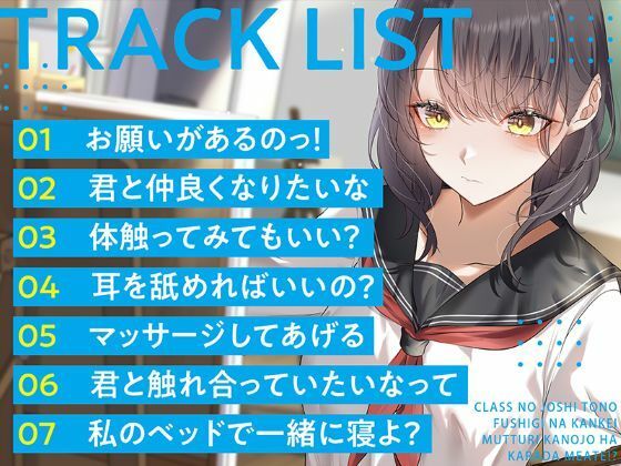 【R15作品】クラスの女子との不思議な関係ムッツリ 彼女は体目当て？