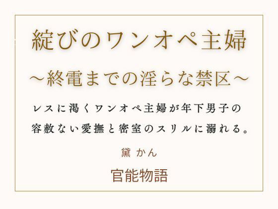 綻びのワンオペ主婦 〜終電までの淫らな禁区〜