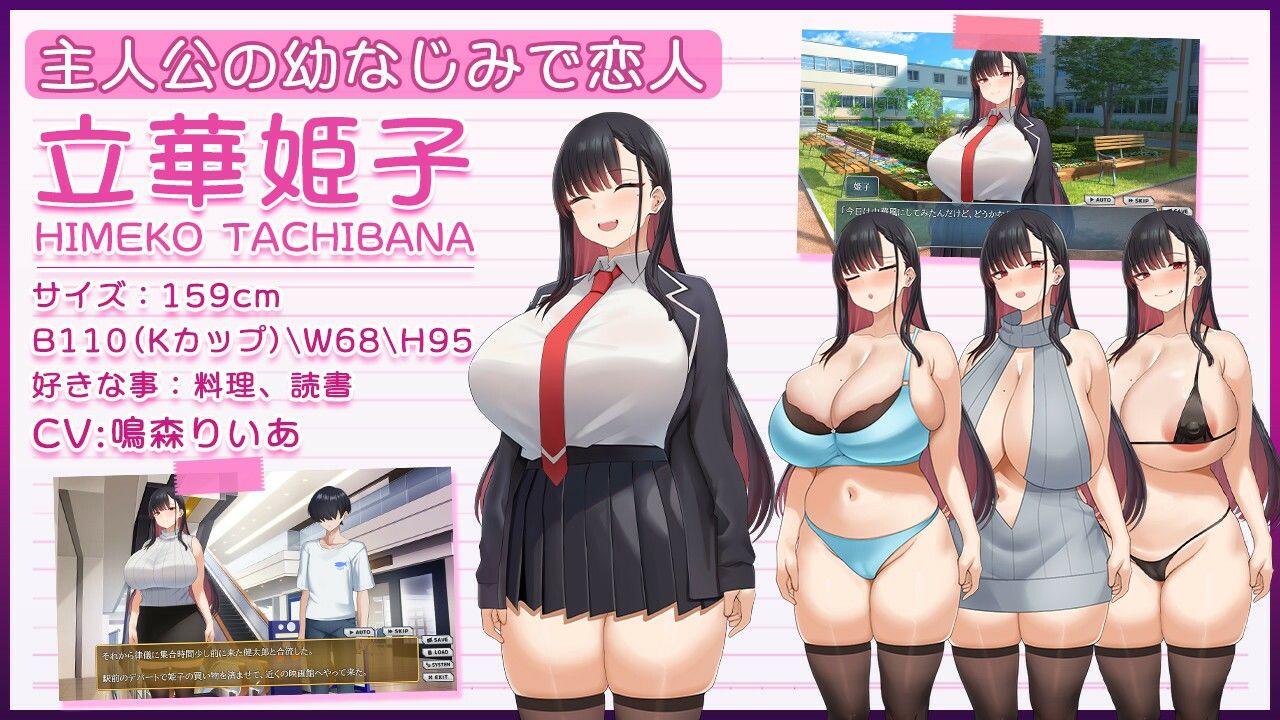 ネトラレヒロイン姫子 -秘密の学園性活-