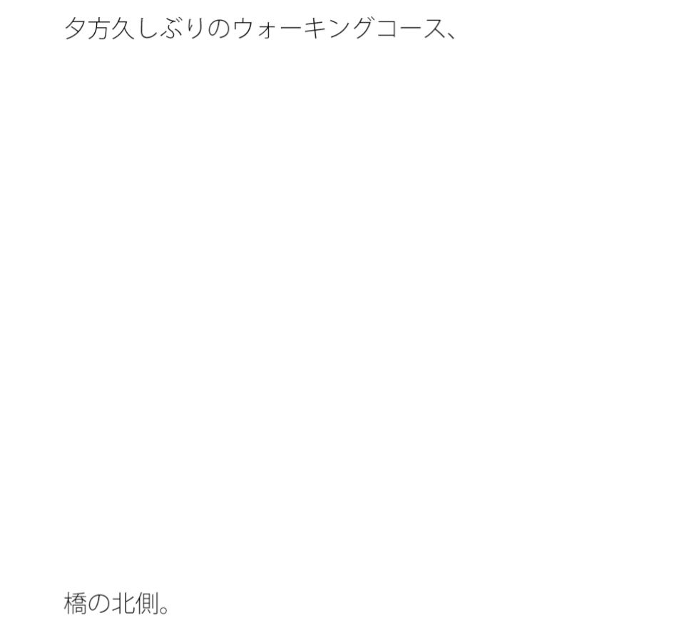 夕方・・久しぶりの橋の向こう それは小さいのではないかという視点 凝縮されたような今の小ささ