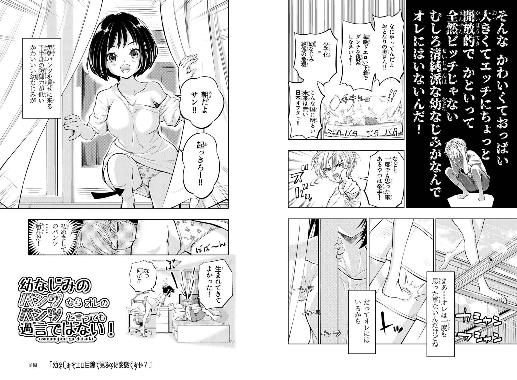 幼なじみのパンツなら俺のパンツといっても過言ではない！！