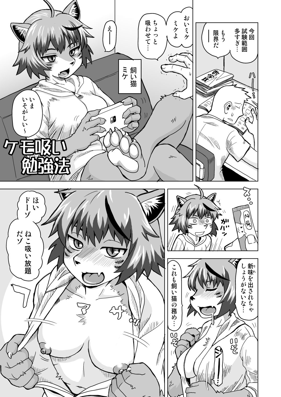 ネコモリアワセ