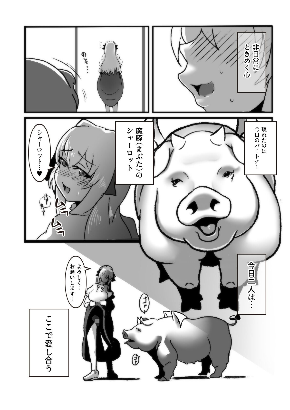 魔法の鏡〜The Magic Mirror 〜 Ver.F