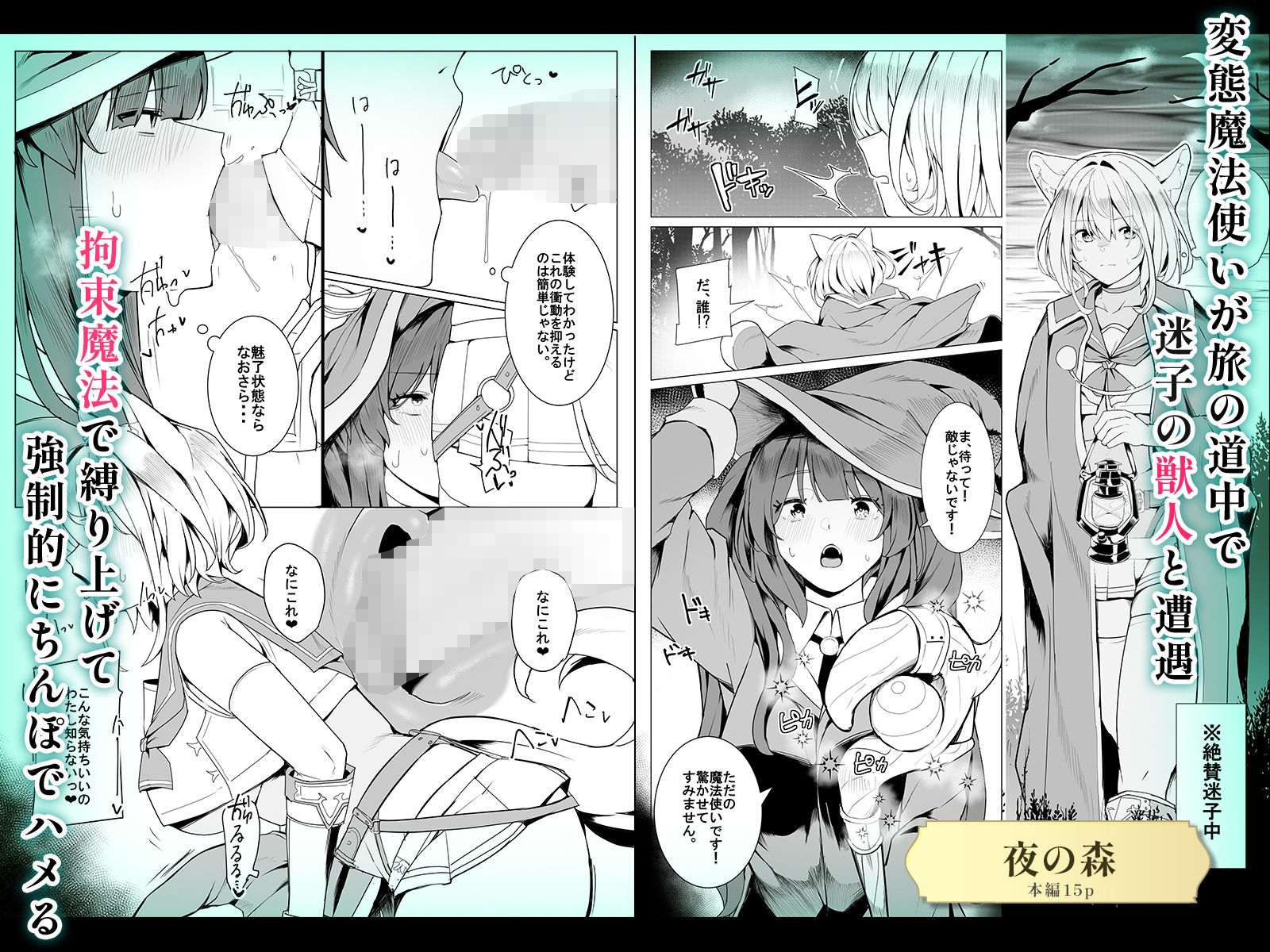 【6作品収録】ふたなり短編作品集【JK、魔法使い、獣人】