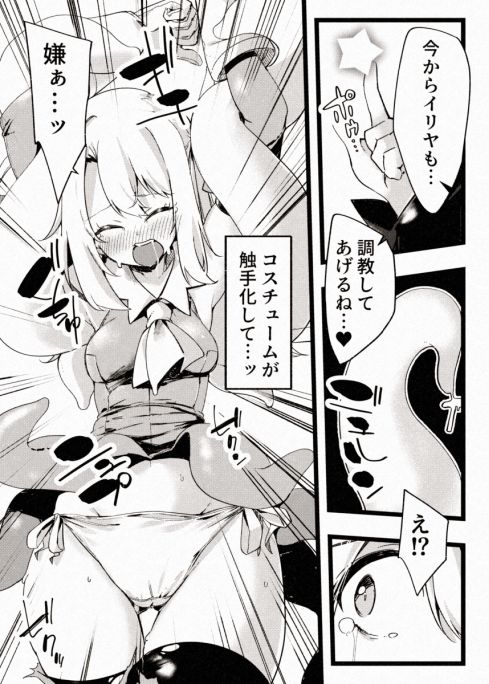 カレイドスレイブ