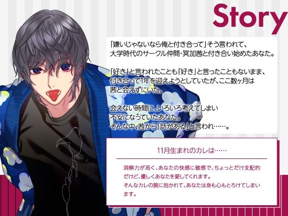 【CV.河豚倫太郎】Stellar Calendar （ステカレ）〜November Story〜