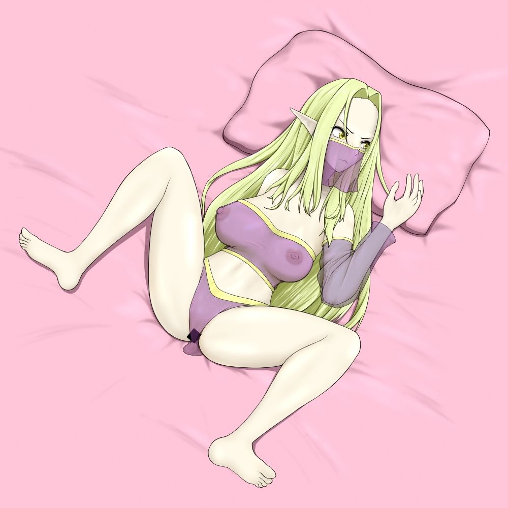 エルフ本2