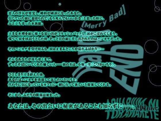 【CV.陸智希】Happy（MerryBad）END Memorial No.02 アクアリウムに囚われて