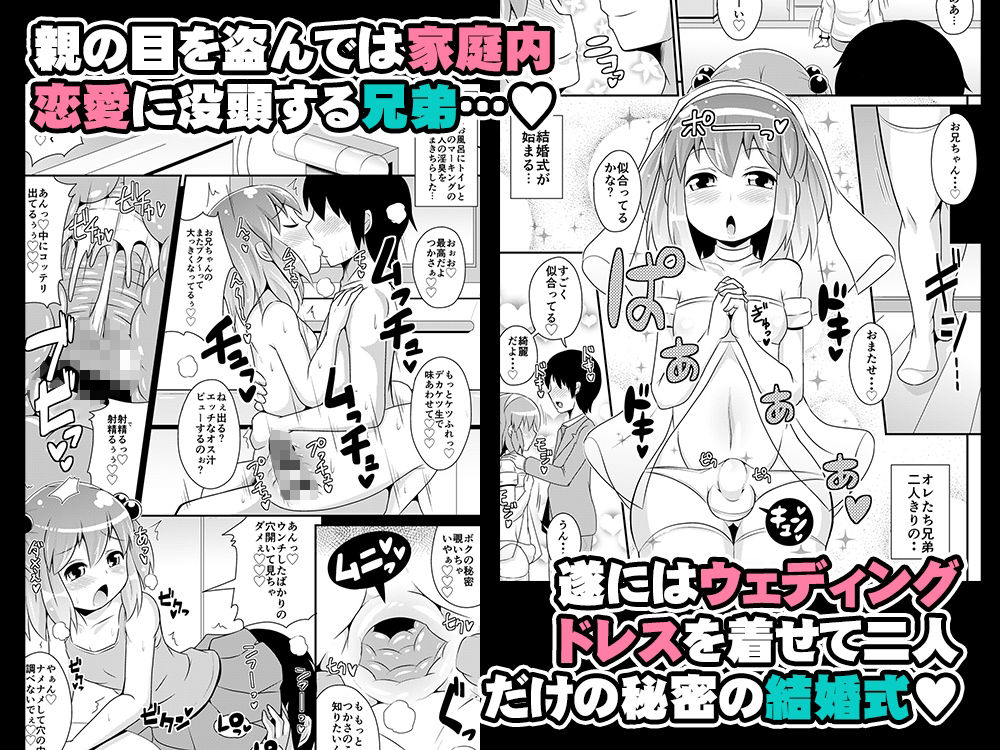 弟メス♂化これくしょん