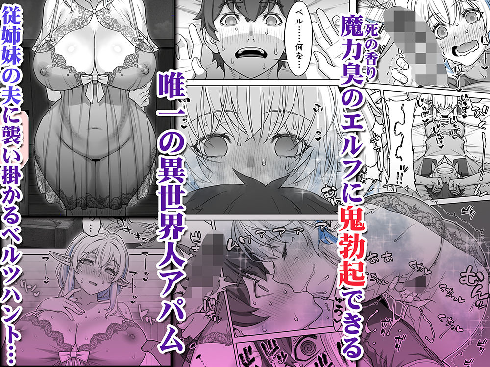 行き遅れ231歳ちょろエルフ戦線