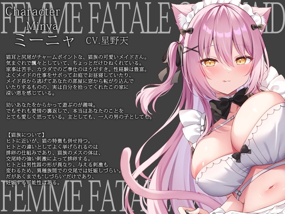 【だらあまおねショタ3時間超♪】小悪魔猫メイドさんとだらだらであまあまな筆おろしえっち〜悪戯から始まる、あなたより少しオトナなメイドさんとの秘密の関係〜
