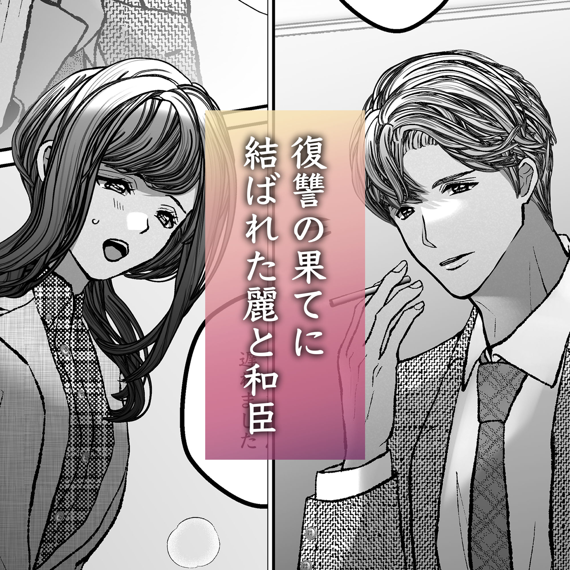 私が復讐の道具を終えたあと