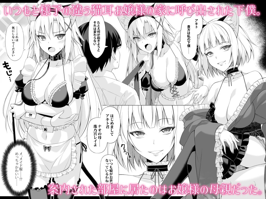 ねことげぼくVI
