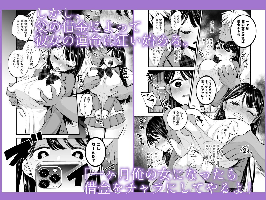 つばめちゃん墜落日記 〜一ヶ月奴●契約〜
