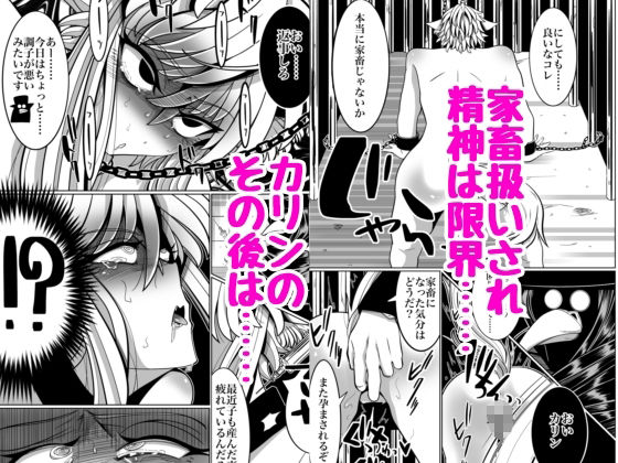性奴●堕ちお姉ちゃんと鬼畜鬱牧場