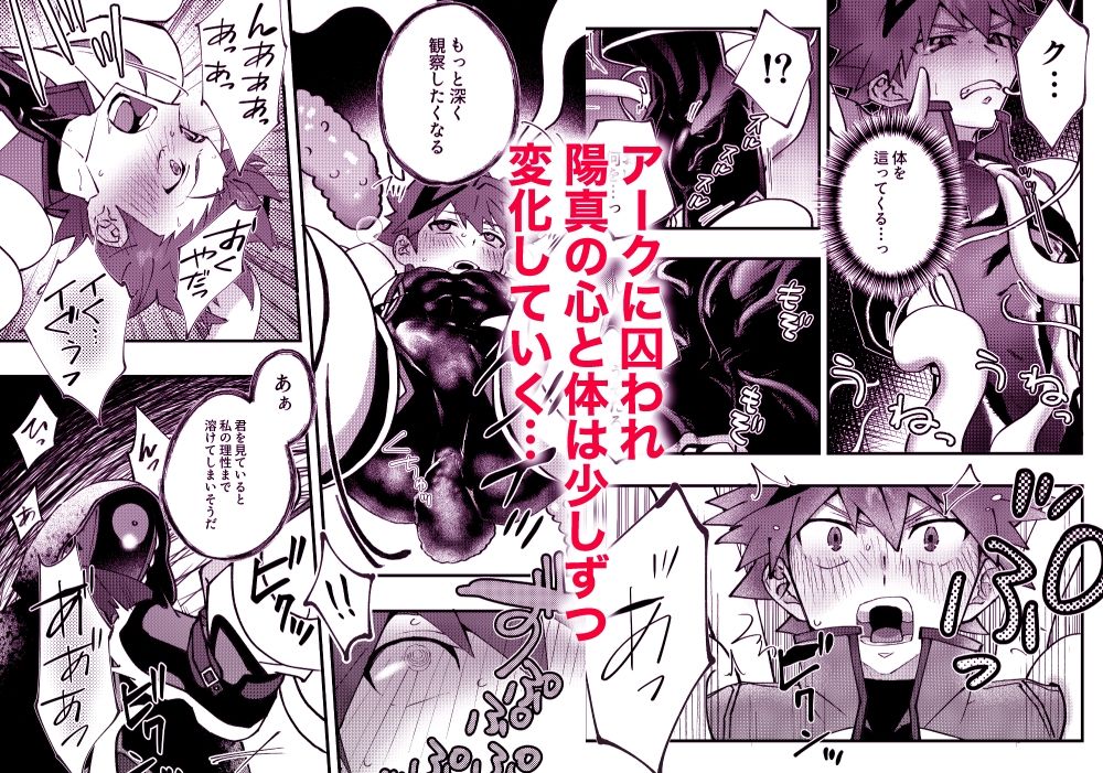 赤の観測者