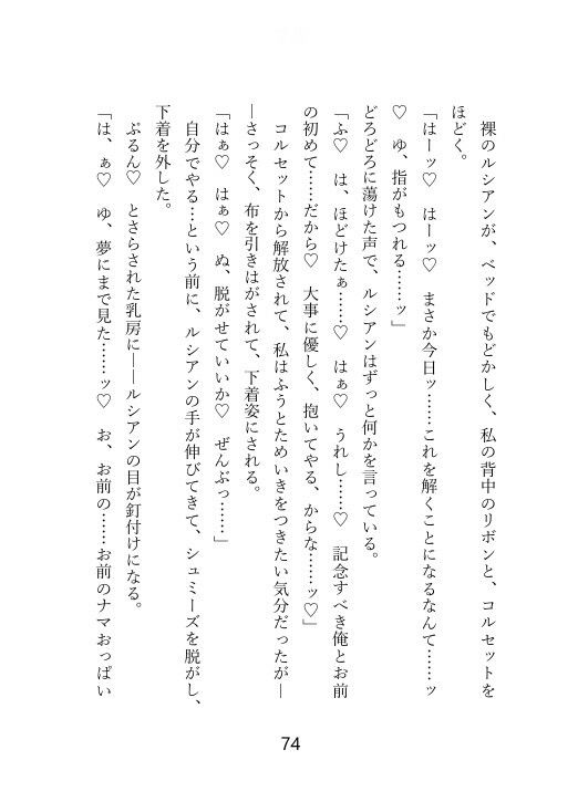 敵の聖騎士様に捕らえられ、10年分の重すぎる執着愛をぶつけられて逃げられない
