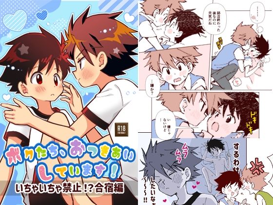 ボクたち、おつきあいしています！ーいちゃいちゃ禁止！？合宿編ー