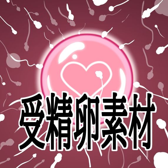 受精卵素材