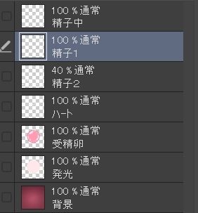 受精卵素材