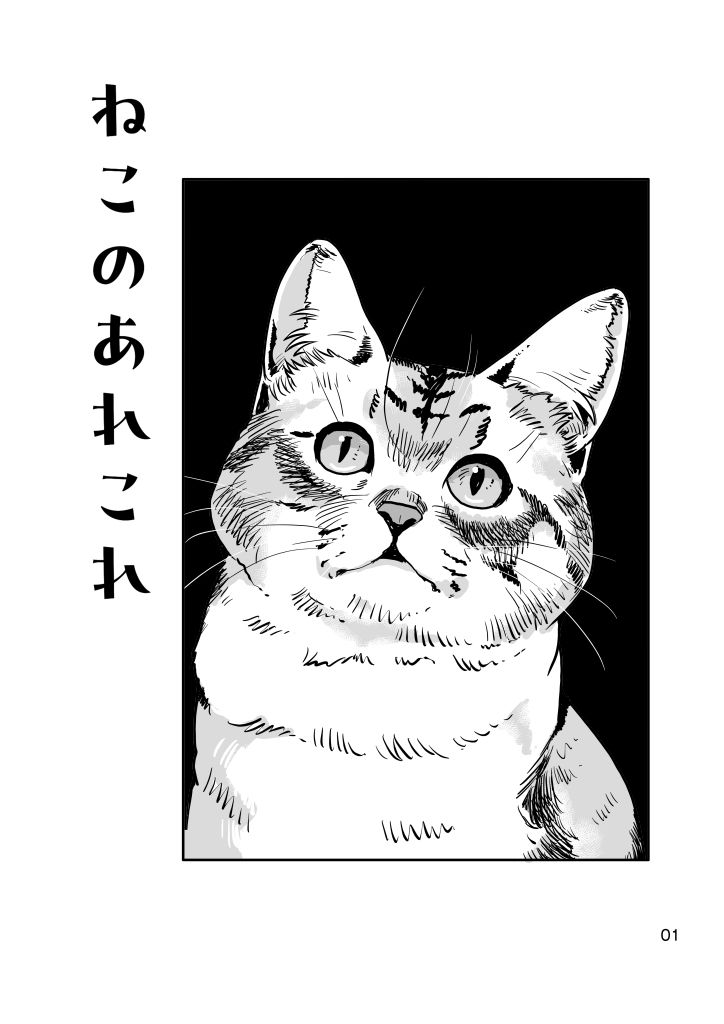 ねこのあれこれ