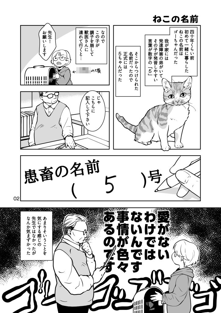 ねこのあれこれ