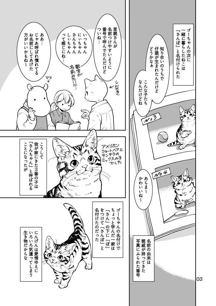ねこのあれこれ
